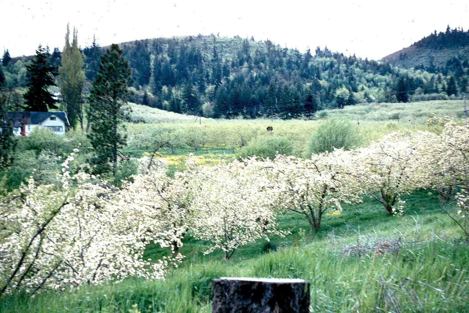 The Packer Ranch in Spring