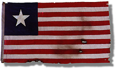 The Flag of the Texas Navy